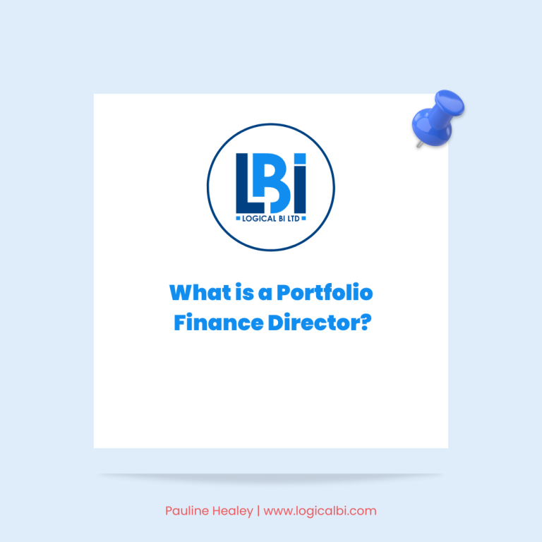 What is a Portfolio Finance Director?