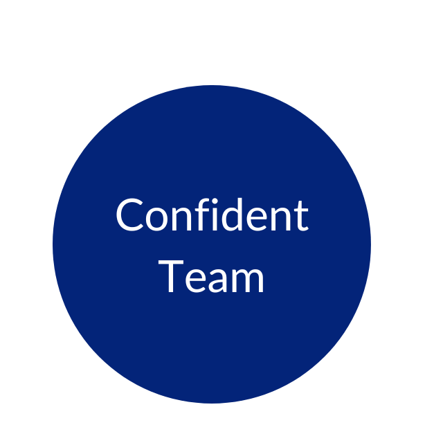 Confident Team CFO Mentor and Finance Team Mentoring