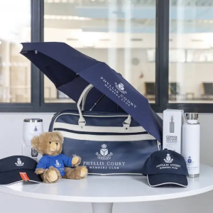firefly merch cs Fractional CFO | Business Financial advisor