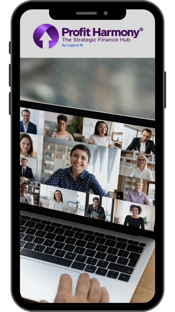 PHH Screenshot Fractional CFO | Business Financial advisor